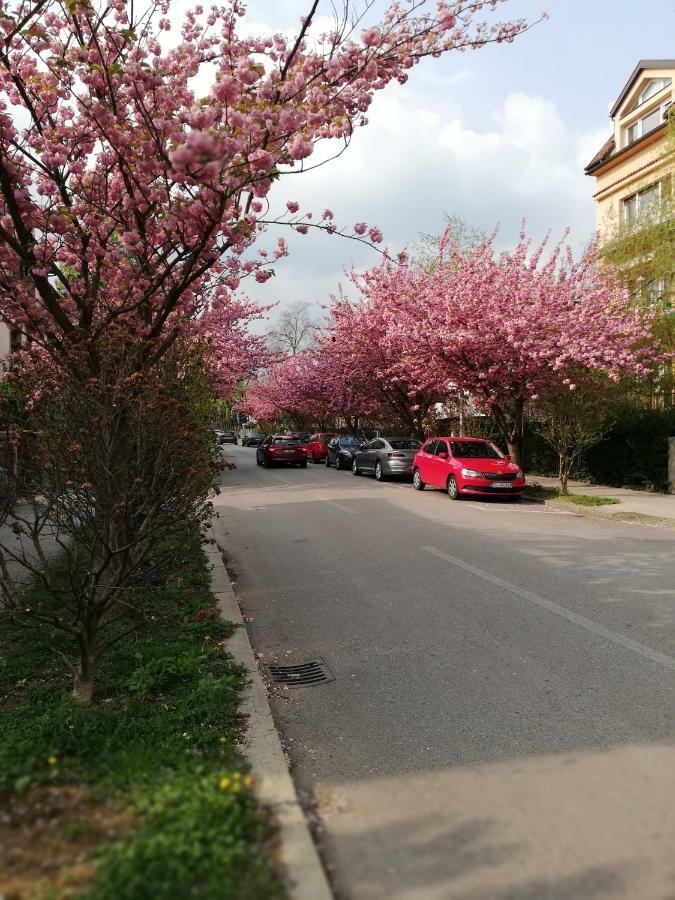 Irena'S Home Away From Home Zagreb Exterior foto